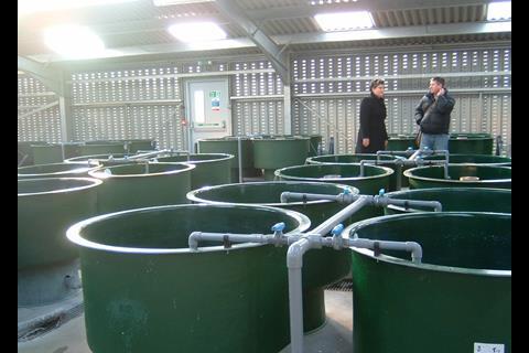 The new centre's rearing tanks are interchangeable meaning that a number of different projects can be handled at the same time